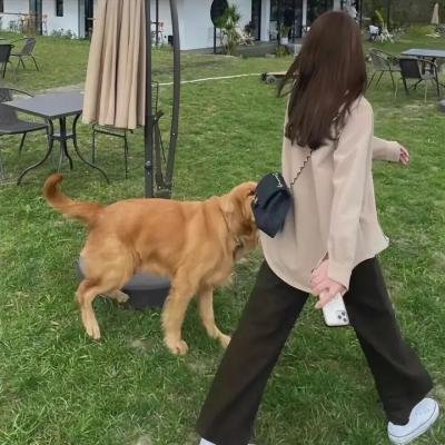兔侠传奇